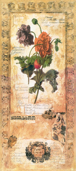 Floral for Jahrriesnge flowers lpf07724 Compatible Floral Jahrriesnge for flowers lpf07724