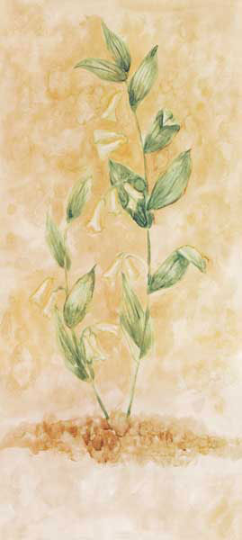 Floral for Jahrriesnge flowers lpf07741 Compatible Floral Jahrriesnge for flowers lpf07741