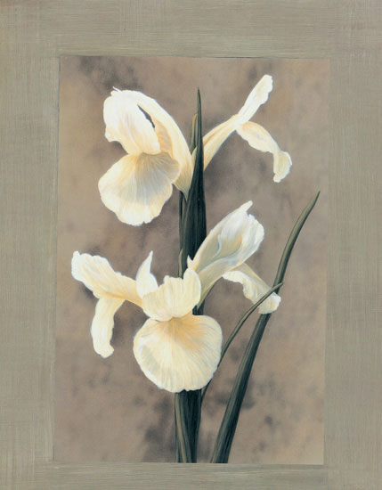 Floral for Jahrriesnge flowers lpf07894 Compatible Floral Jahrriesnge for flowers lpf07894