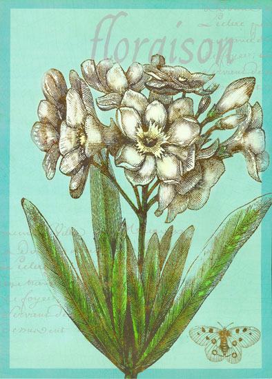 Floral for Jahrriesnge flowers lpf07923 Compatible Floral Jahrriesnge for flowers lpf07923