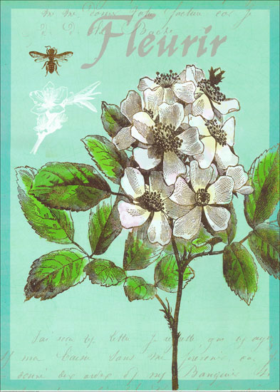 Floral for Jahrriesnge flowers lpf07924 Compatible Floral Jahrriesnge for flowers lpf07924