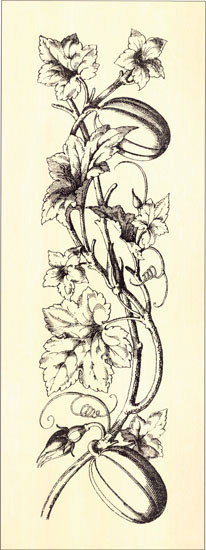 Compatible Floral Jahrriesnge  for flowers lpf07945 