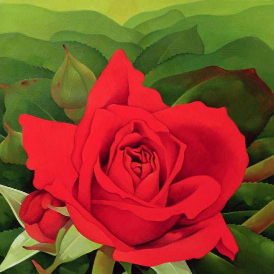Compatible Floral Jahrriesnge  for flowers lpf07965 