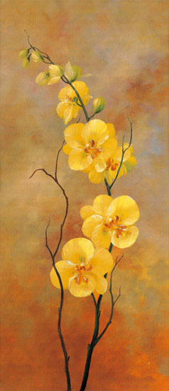Floral for Jahrriesnge flowers lpf07989 Compatible Floral Jahrriesnge for flowers lpf07989