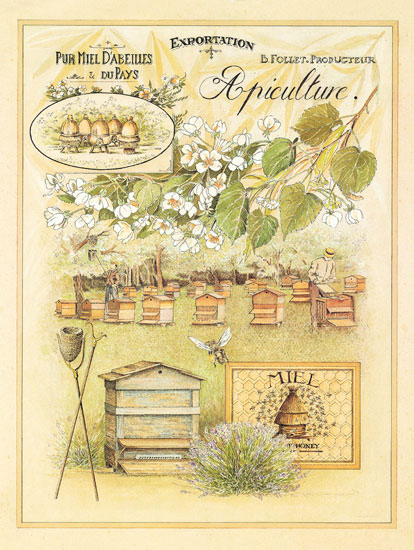Floral for Jahrriesnge flowers lpf08001 Compatible Floral Jahrriesnge for flowers lpf08001