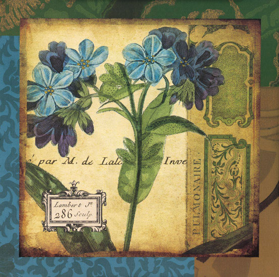 Floral for Jahrriesnge flowers lpf08082 Compatible Floral Jahrriesnge for flowers lpf08082