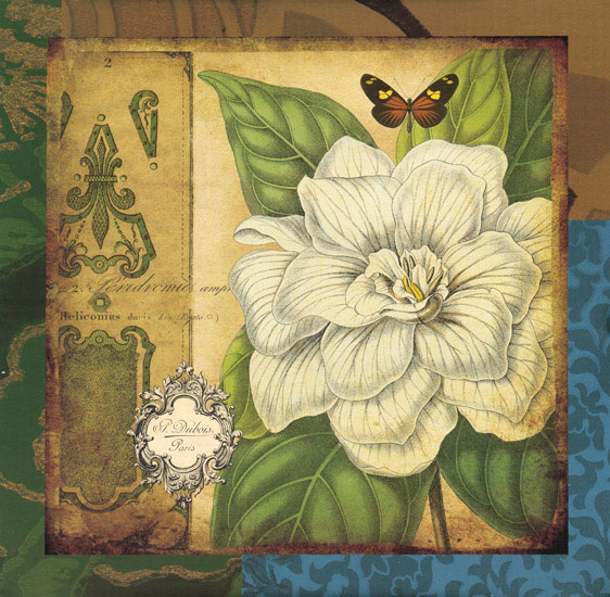 Floral for Jahrriesnge flowers lpf08083 Compatible Floral Jahrriesnge for flowers lpf08083