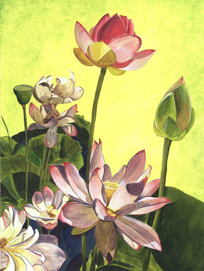 Floral for Jahrriesnge flowers lpf08104 Compatible Floral Jahrriesnge for flowers lpf08104