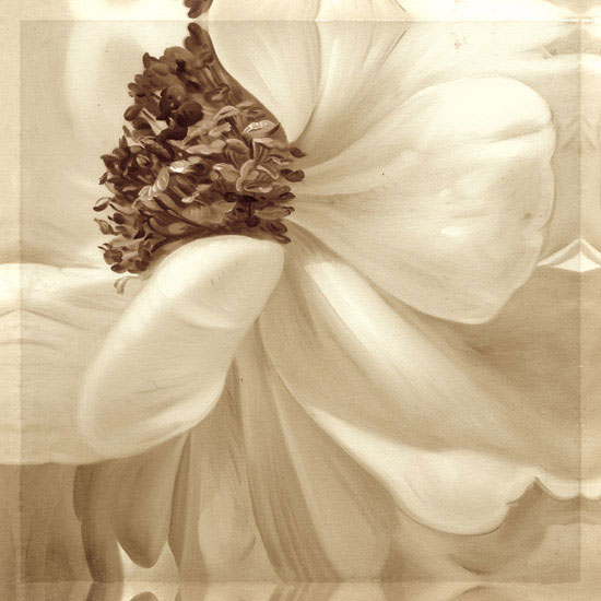 Floral for Jahrriesnge flowers lpf08113 Compatible Floral Jahrriesnge for flowers lpf08113