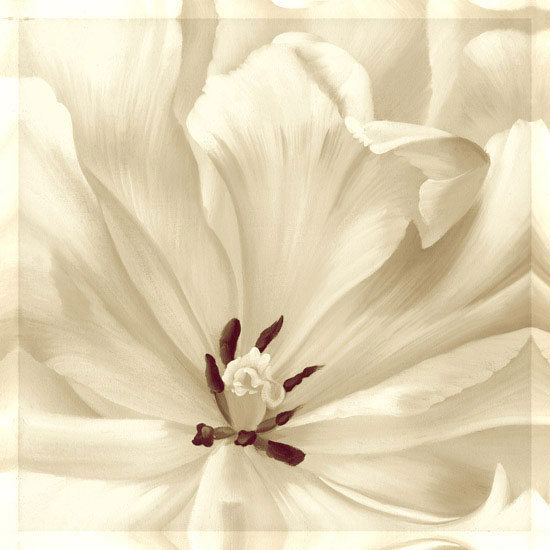 Floral for Jahrriesnge flowers lpf08114 Compatible Floral Jahrriesnge for flowers lpf08114