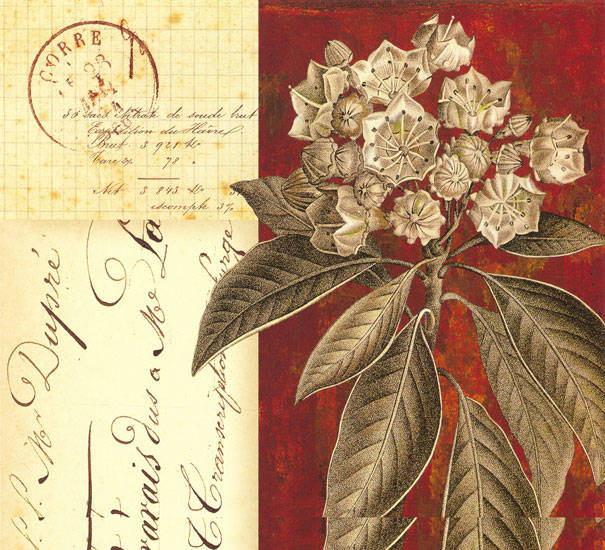 Floral for Jahrriesnge flowers lpf08130 Compatible Floral Jahrriesnge for flowers lpf08130