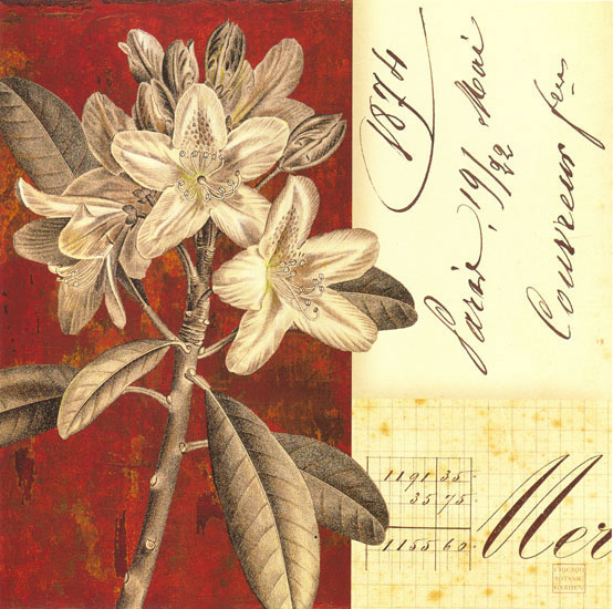 Floral for Jahrriesnge flowers lpf08131 Compatible Floral Jahrriesnge for flowers lpf08131