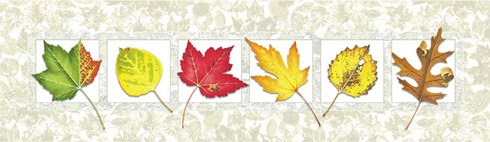 Floral for Jahrriesnge leaves lpf08160 Compatible Floral Jahrriesnge for leaves lpf08160
