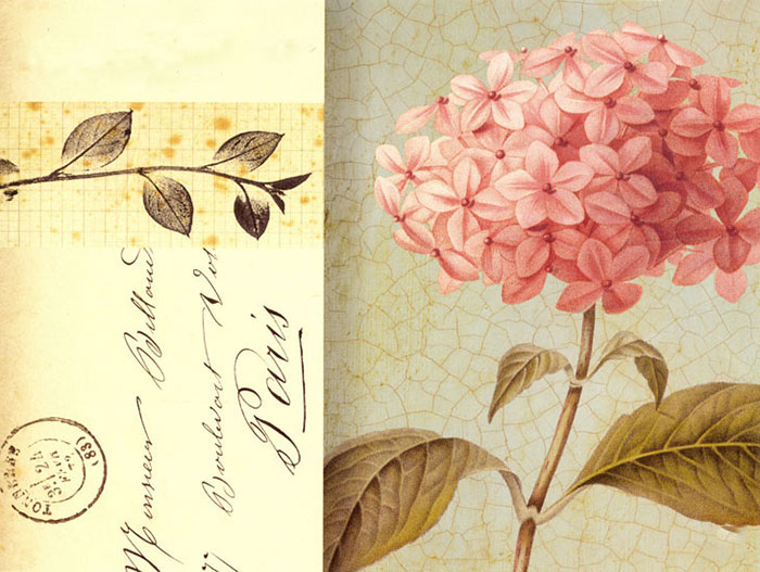 Floral for Jahrriesnge flowers lpf08171 Compatible Floral Jahrriesnge for flowers lpf08171