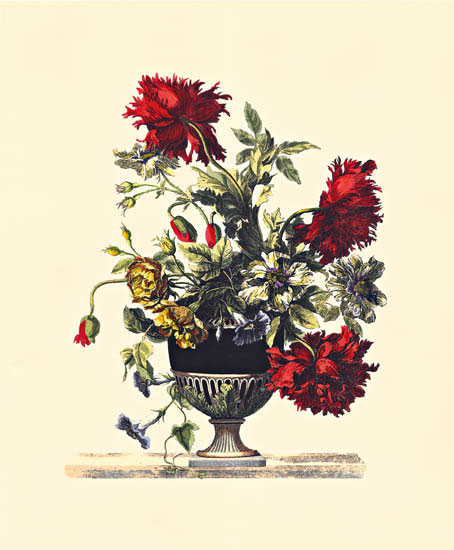 Floral for Jahrriesnge flowers lpf08180 Compatible Floral Jahrriesnge for flowers lpf08180