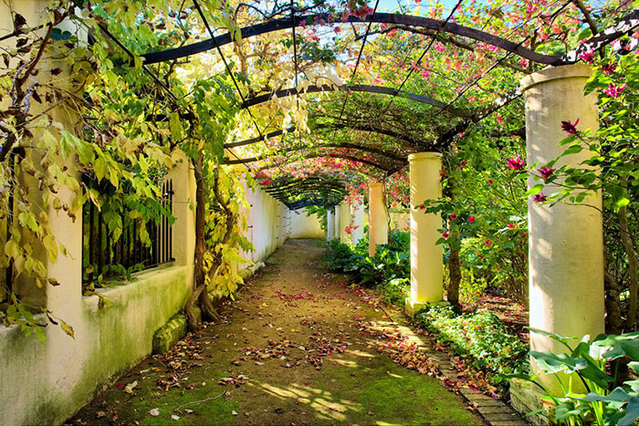 Paysage for JAHRRIESNGE flowers lpf08285 Compatible Paysage JAHRRIESNGE for flowers lpf08285