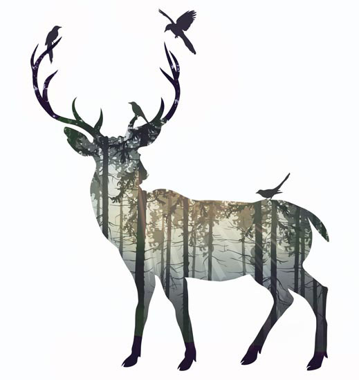 Animaux for Jahrriesnge deer lpf08601 Compatible Animaux Jahrriesnge for deer lpf08601