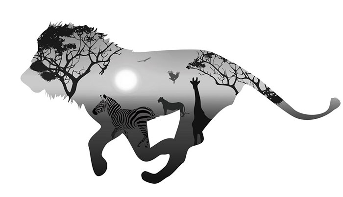 Animaux for Jahrriesnge lion and zebra lpf08621 Compatible Animaux Jahrriesnge for lion and zebra lpf08621