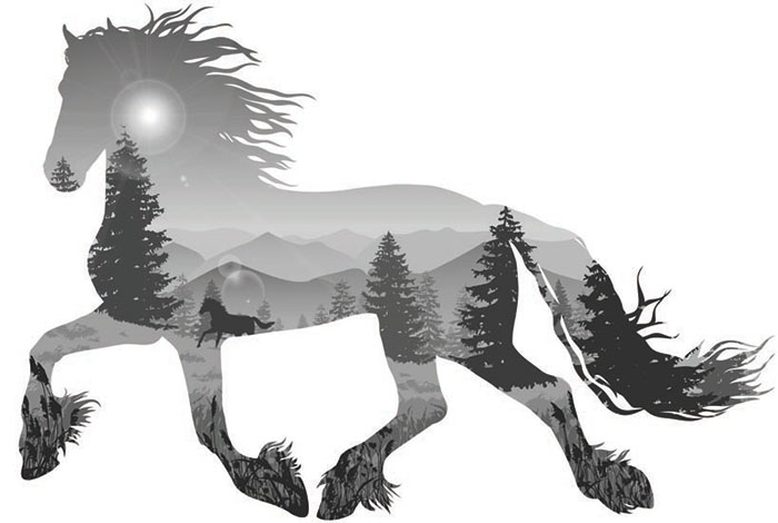 Animaux for Jahrriesnge horse lpf08622 Compatible Animaux Jahrriesnge for horse lpf08622