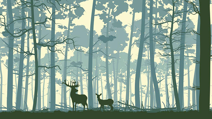 Animaux for Jahrriesnge deer lpf08623 Compatible Animaux Jahrriesnge for deer lpf08623