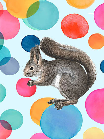 Animaux for Jahrriesnge squirrel lpf08643 Compatible Animaux Jahrriesnge for squirrel lpf08643