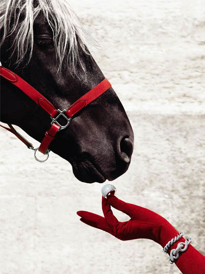 Animaux for Jahrriesnge horse lpf08645 Compatible Animaux Jahrriesnge for horse lpf08645
