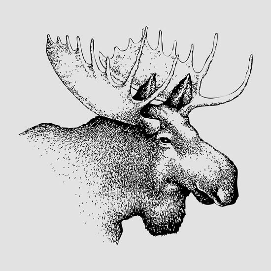 Animaux for Jahrriesnge deer lpf08653 Compatible Animaux Jahrriesnge for deer lpf08653