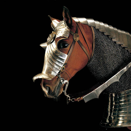 Animaux for Jahrriesnge horse lpf08672 Compatible Animaux Jahrriesnge for horse lpf08672