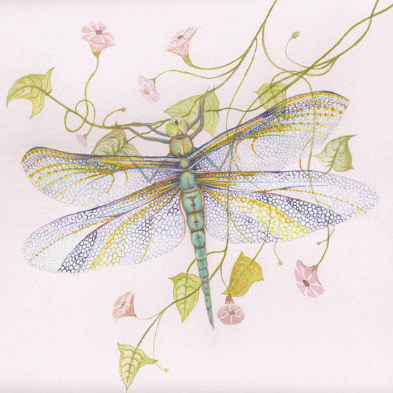 Animaux for Jahrriesnge dragonfly lpf08679 Compatible Animaux Jahrriesnge for dragonfly lpf08679