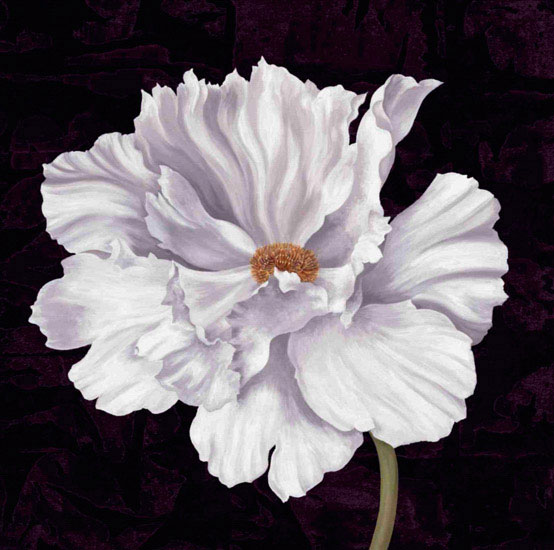 Floral for Jahrriesnge flowers lpf09592 Compatible Floral Jahrriesnge for flowers lpf09592