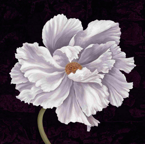 Floral for Jahrriesnge flowers lpf09593 Compatible Floral Jahrriesnge for flowers lpf09593