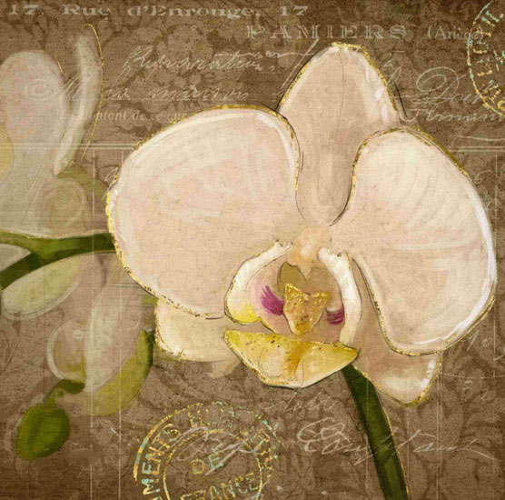 Floral for Jahrriesnge flowers lpf09595 Compatible Floral Jahrriesnge for flowers lpf09595