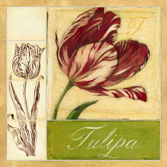 Floral for Jahrriesnge flowers lpf09620 Compatible Floral Jahrriesnge for flowers lpf09620