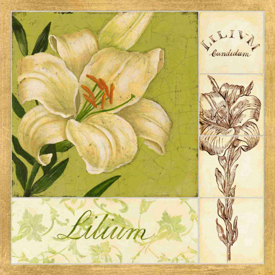Floral for Jahrriesnge flowers lpf09621 Compatible Floral Jahrriesnge for flowers lpf09621