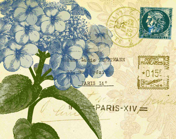 Floral for Jahrriesnge flowers lpf09627 Compatible Floral Jahrriesnge for flowers lpf09627