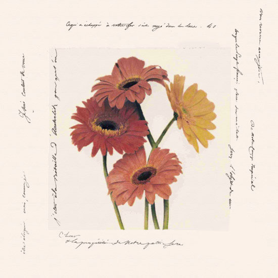 Floral for Jahrriesnge flowers lpf09641 Compatible Floral Jahrriesnge for flowers lpf09641