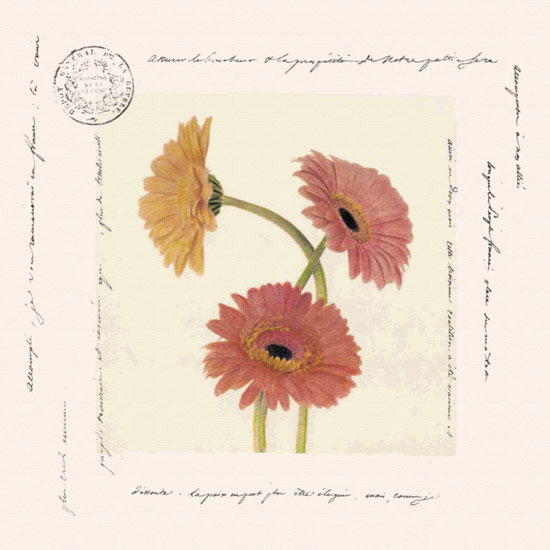 Floral for Jahrriesnge flowers lpf09642 Compatible Floral Jahrriesnge for flowers lpf09642