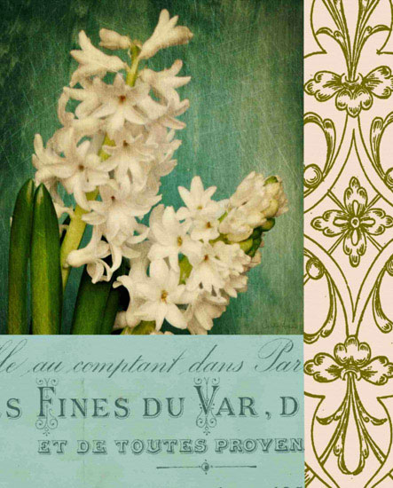 Floral for Jahrriesnge flowers lpf09652 Compatible Floral Jahrriesnge for flowers lpf09652