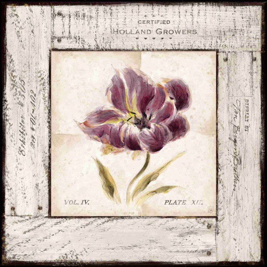 Floral for Jahrriesnge flowers lpf09666 Compatible Floral Jahrriesnge for flowers lpf09666