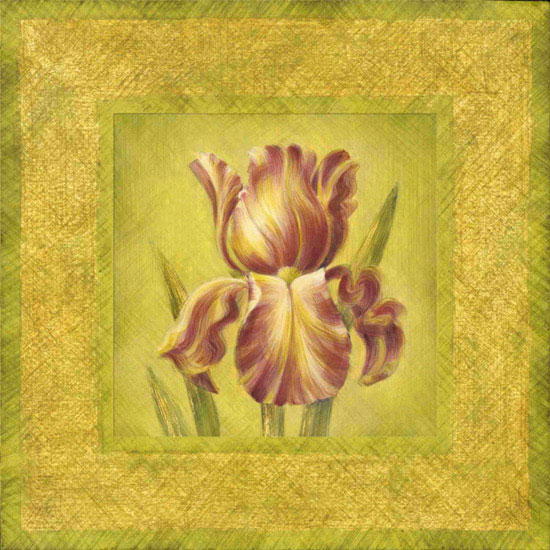 Floral for Jahrriesnge flowers lpf09667 Compatible Floral Jahrriesnge for flowers lpf09667