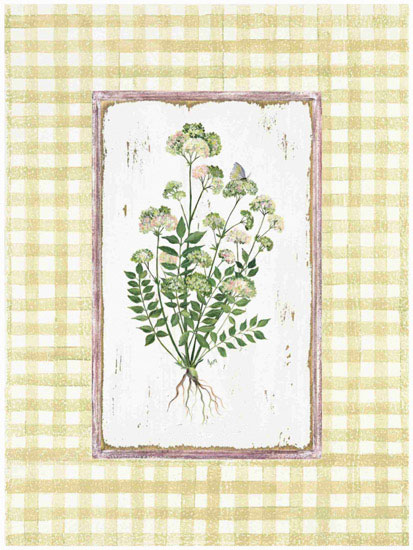 Floral for Jahrriesnge flowers lpf09675 Compatible Floral Jahrriesnge for flowers lpf09675