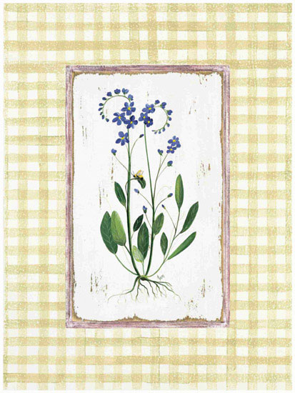 Floral for Jahrriesnge flowers lpf09678 Compatible Floral Jahrriesnge for flowers lpf09678