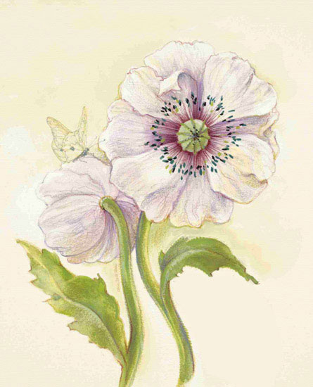 Floral for Jahrriesnge flowers lpf09686 Compatible Floral Jahrriesnge for flowers lpf09686