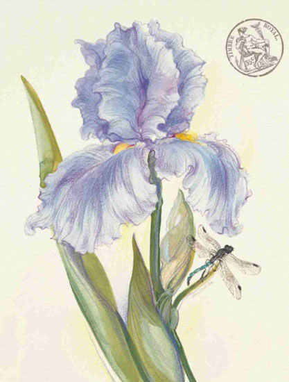Floral for Jahrriesnge flowers lpf09693 Compatible Floral Jahrriesnge for flowers lpf09693