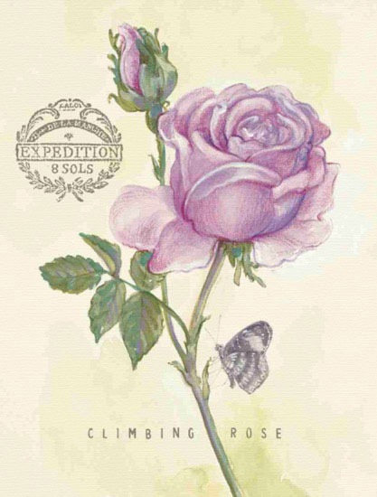 Floral for Jahrriesnge flowers lpf09694 Compatible Floral Jahrriesnge for flowers lpf09694