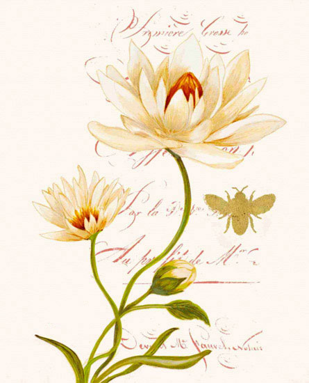 Floral for Jahrriesnge flowers lpf09700 Compatible Floral Jahrriesnge for flowers lpf09700