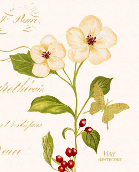Floral for Jahrriesnge flowers lpf09702 Compatible Floral Jahrriesnge for flowers lpf09702