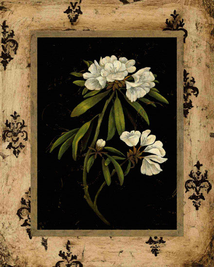 Floral for Jahrriesnge flowers lpf09781 Compatible Floral Jahrriesnge for flowers lpf09781