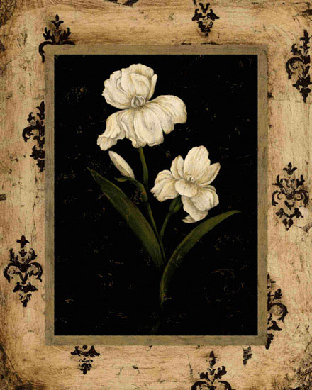 Floral for Jahrriesnge flowers lpf09784 Compatible Floral Jahrriesnge for flowers lpf09784