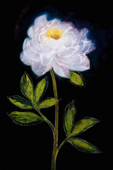 Floral for Jahrriesnge flowers lpf09831 Compatible Floral Jahrriesnge for flowers lpf09831
